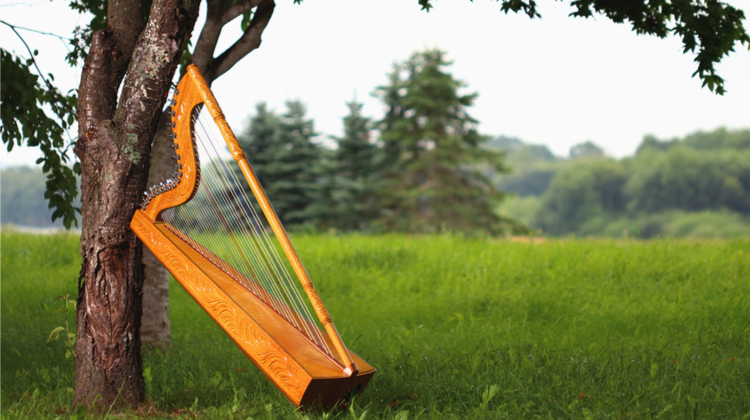 A meadow with a harp leaning on a tree
