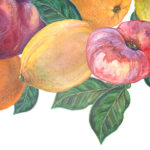 Drawing of various fruit
