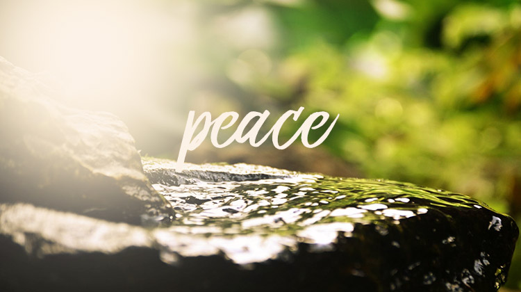 Daily Scriptures for Finding Personal Peace