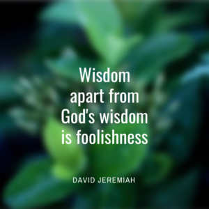 Wisdom apart from God's wisdom is foolishness
