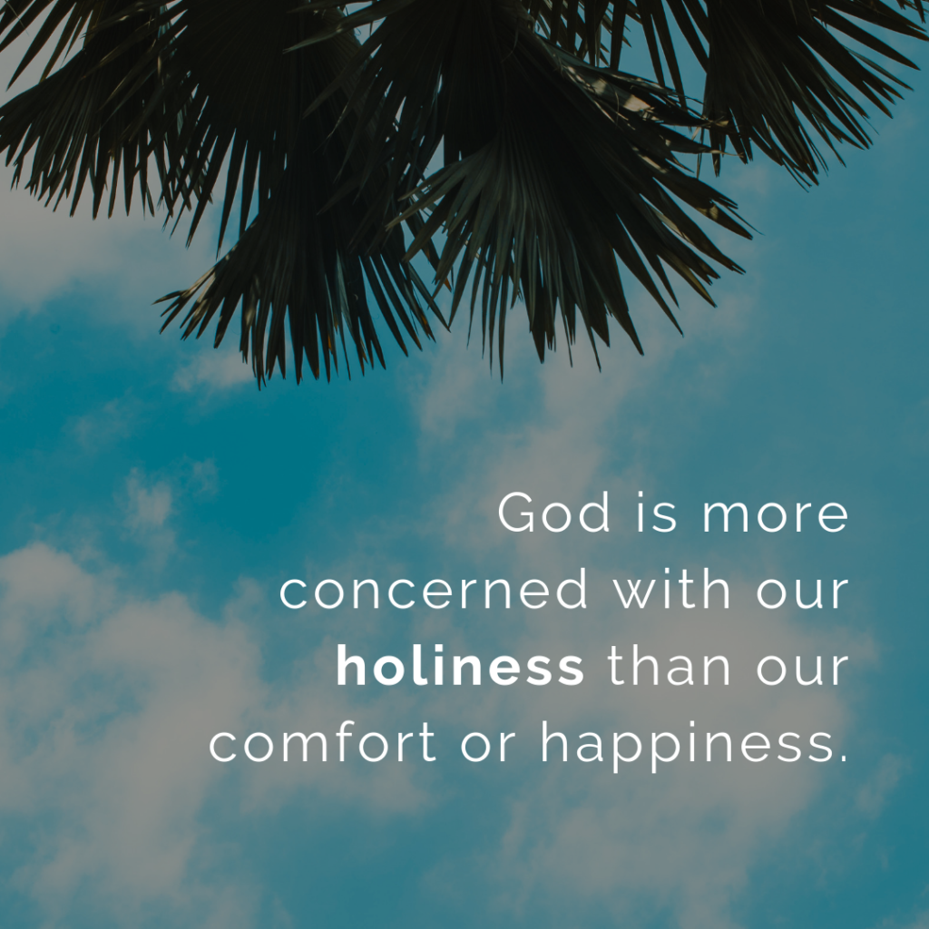 Meme: God is more concerned with our holiness than our comfort or happiness.