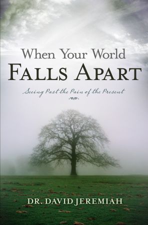 When Your World Falls Apart Book