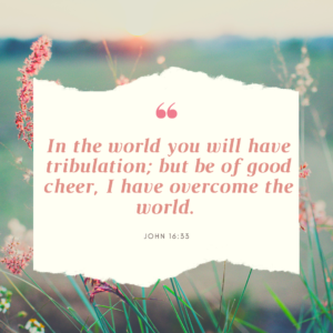 Meme: In the world you will have tribulation; but be of good cheer, I have overcome the world. John 16:33