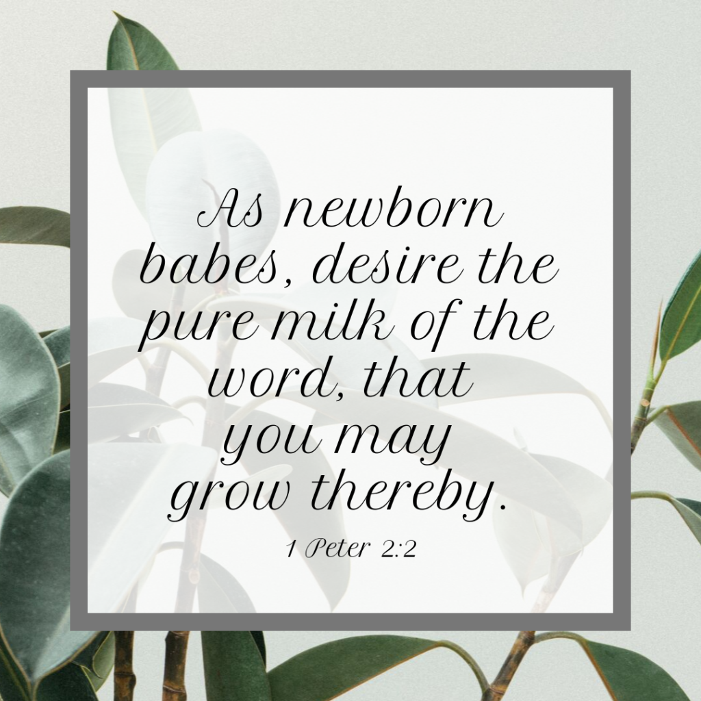 Meme: As newborn babes, desire the pure milk of the word, that you may grow thereby. 1 Peter 2:2