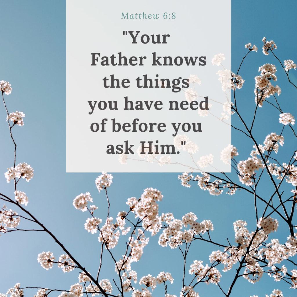 Meme: Matthew 6:8 "Your Father knows the things you have need of before you ask Him."