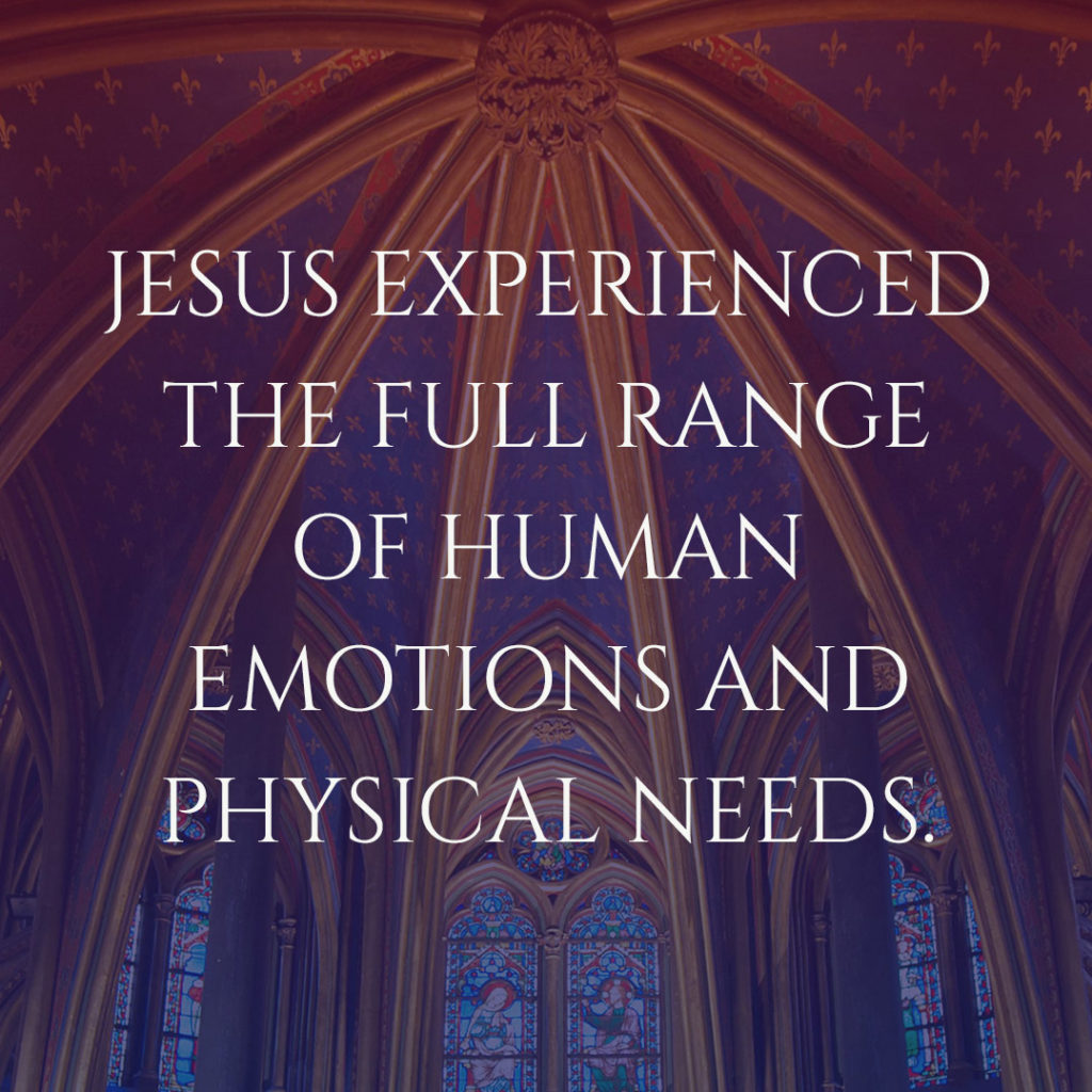 Meme: Jesus experienced the full range of human emotions and physical needs.