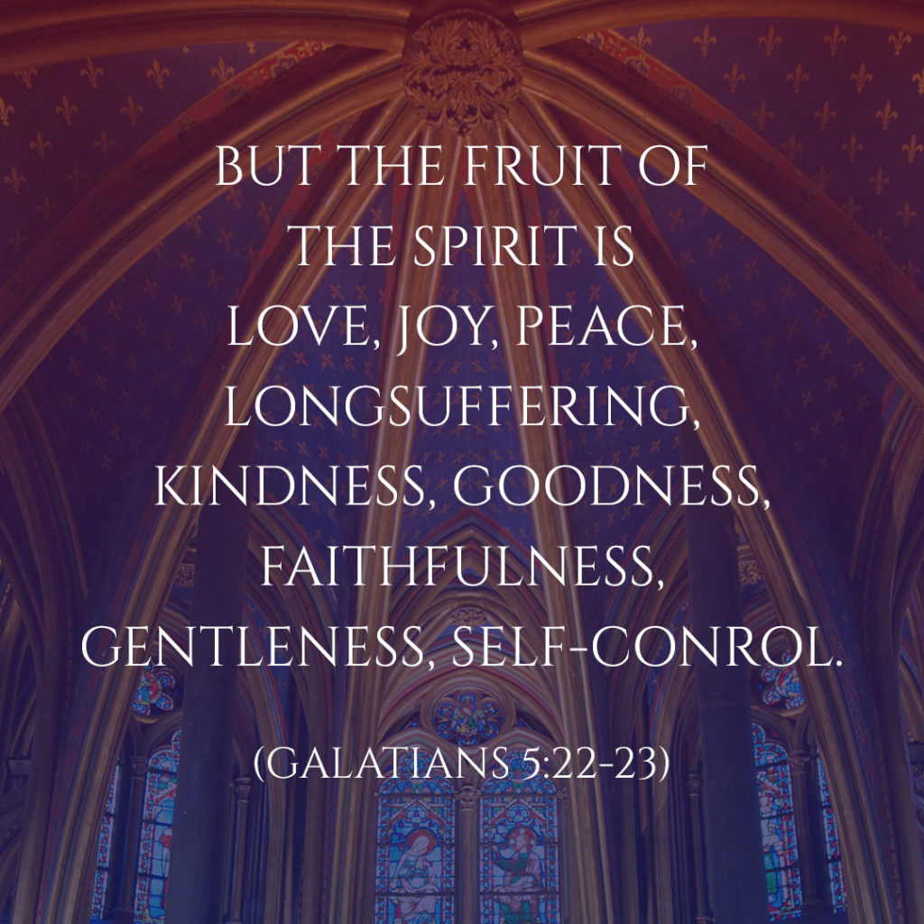 Meme: But the fruit of the Spirit is love, joy, peace, longsuffering, kindness, goodness, faithfulness, gentleness, self-control. (Galatians 5:22-23)