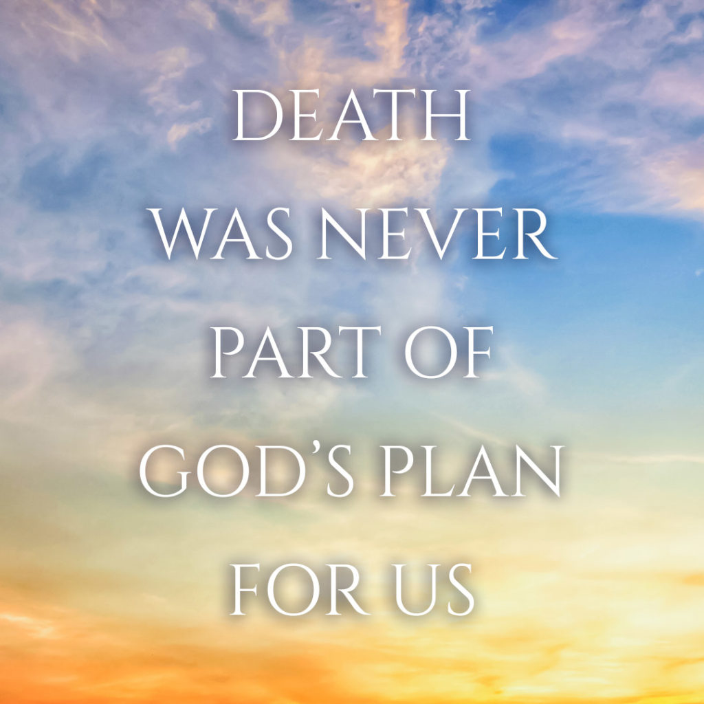 Meme: Death was never part of God's plan for us