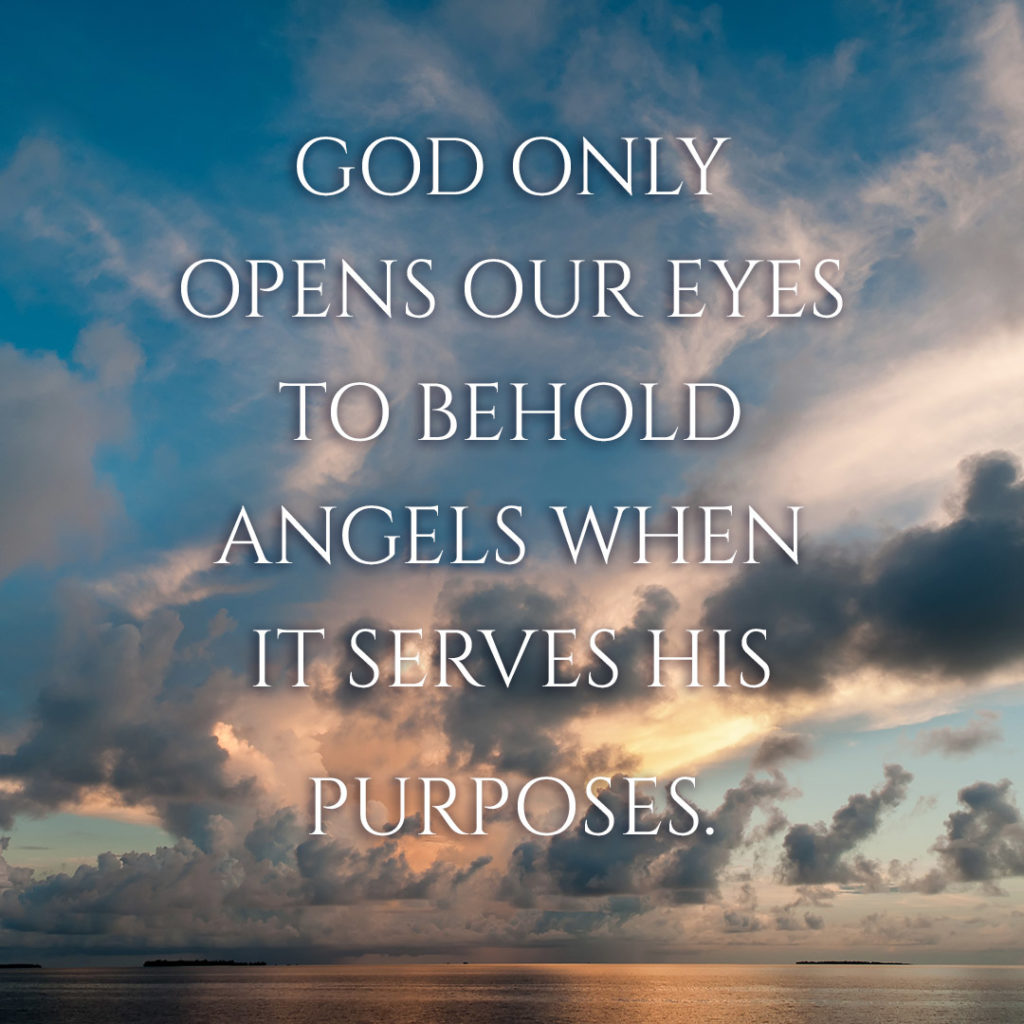 Meme: God only opens our eyes to behold anels when it serves His purposes.