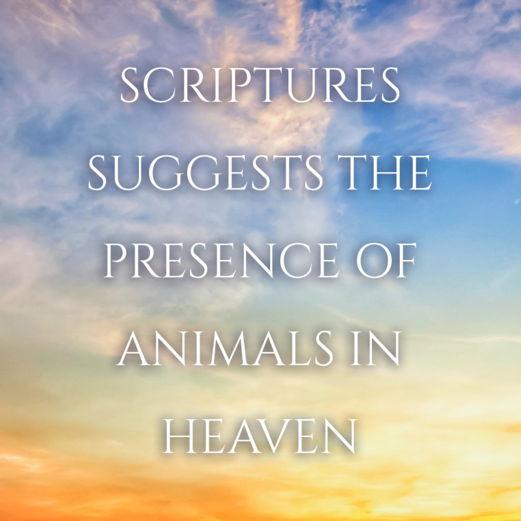 Meme: Scriptures suggests the presence of animals in Heaven