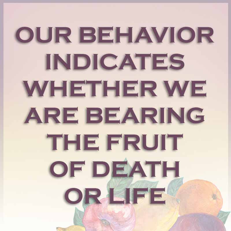 Meme: Our behavior indicates whether we are bearing the fruit of death or life