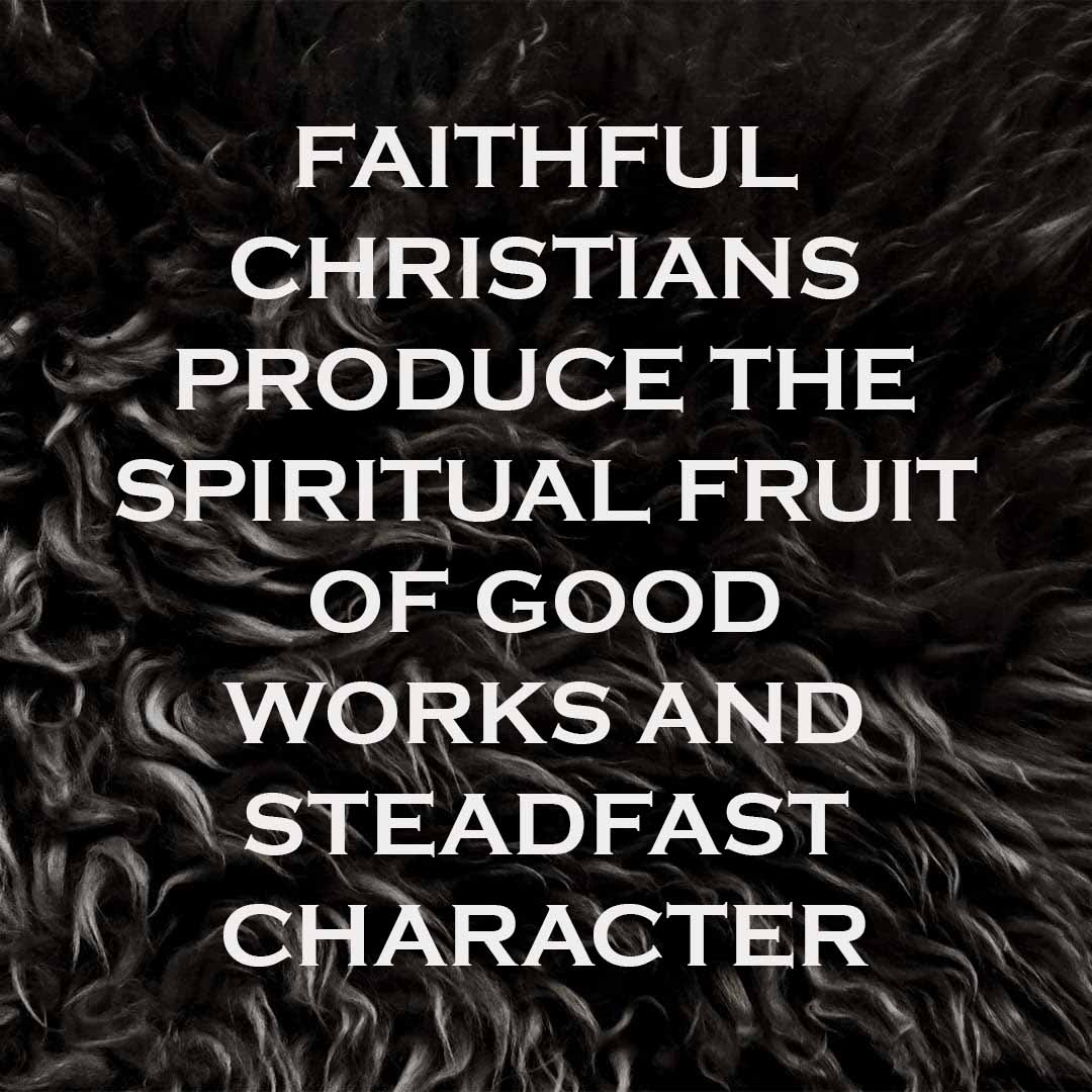 Meme: Faithful Christians produce the spiritual fruit of good works and steadfast character