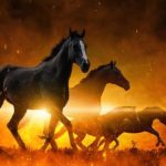 What Are the 4 Horsemen of the Apocalypse?