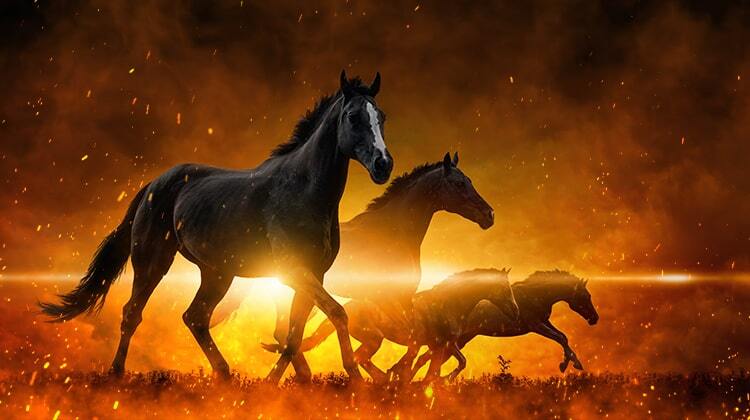 What Are the 4 Horsemen of the Apocalypse?