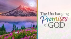 12 Unchanging Promises of God—One for Every Month of the Year