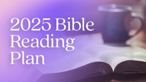 2025 Bible Reading Plan