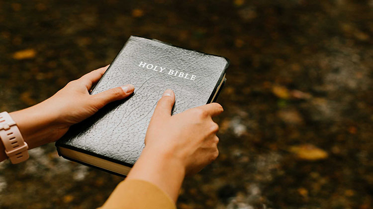 What Are the First 5 Books of the Bible About?