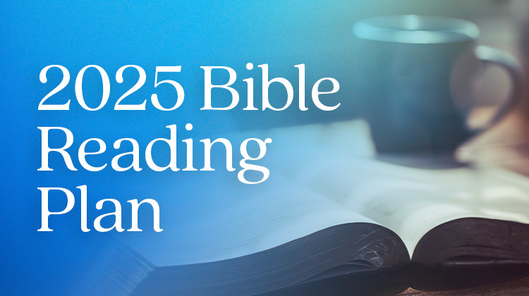 2025 Bible Reading Plan