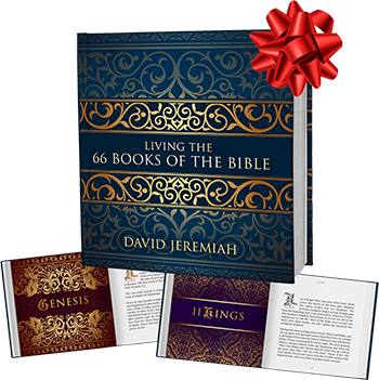 Living the 66 Books of the Bible