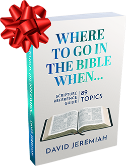 Where to Go in the Bible When…